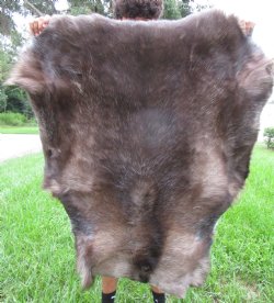 Finland Reindeer Hide, Skin, Without Legs, with Dark Brown and Tan Fur, 45" by 40" - Buy this one for $109.99