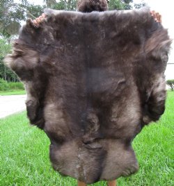 Dark Colored Finland Reindeer Hide, Skin, Fur Without Legs, 44" by 38" - Buy this one for $109.99