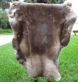 Finland Reindeer Hide, Skin, Without Legs, 43" by 39" with Dark Browns, Tans and Gray Fur - Buy this one for $109.99