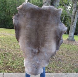 46-1/2 by 37 inches Finland Reindeer Hide, Skin, Fur, Without Legs, Grade B  - Buy this one for $94.99