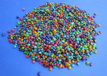 2.2 pounds Tiny Dyed Umbonium Shells, 1/8 inch to 1/2 inch - $9.20 a bag; 3 @ $8.25 bag