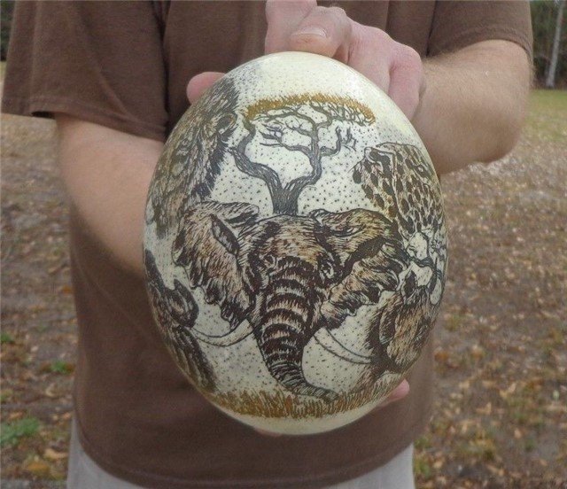 Real South African Scrimshaw Ostrich Egg With The African Big 5