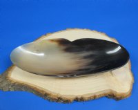 10-1/2 inches Boat Shaped Horn Bowls - $17.99