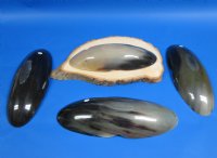 10-1/2 inches Boat Shaped Horn Bowls - $17.99