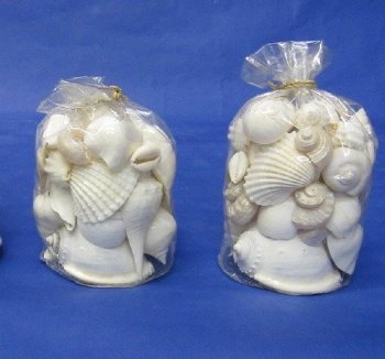 4-1/2 inches Assorted White Shells in Clear Gift Bag - 2 @ $5.00 each;  6 @ $4.00 each