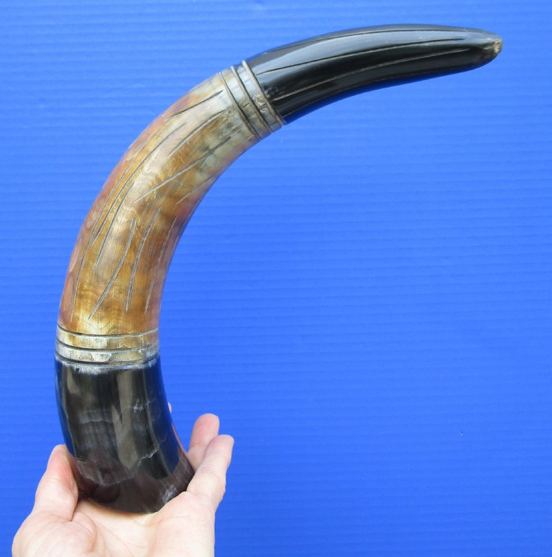 13-7/8 inches Black and Brown Carved and Polished Buffalo Horn