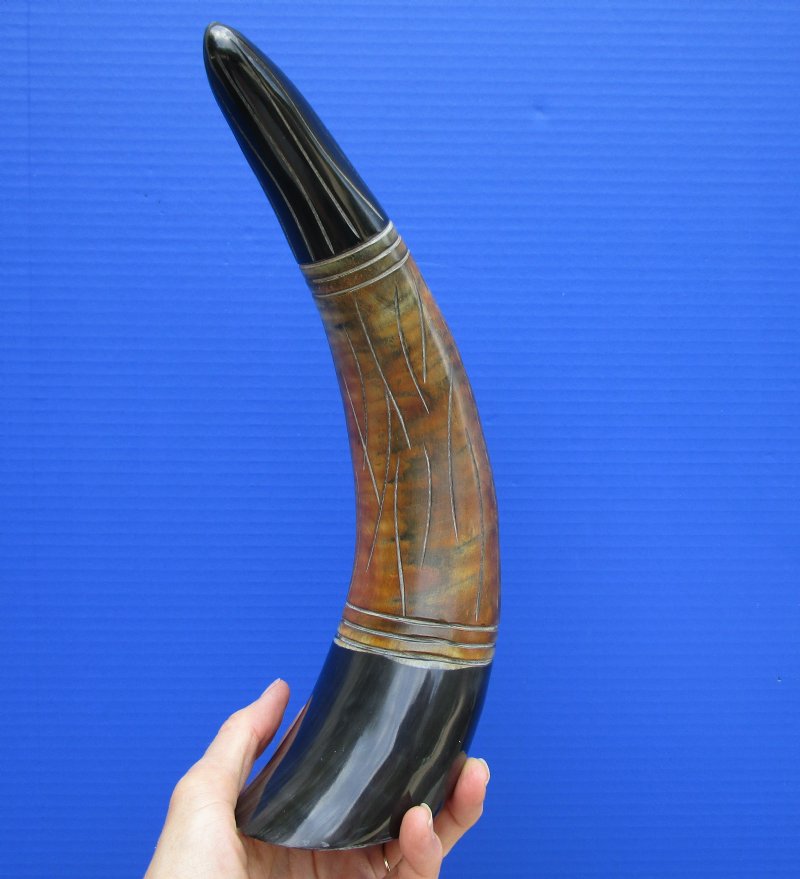 12-7/8 inches Carved Buffalo Horn for Sale, Black and Brown Rustic Look