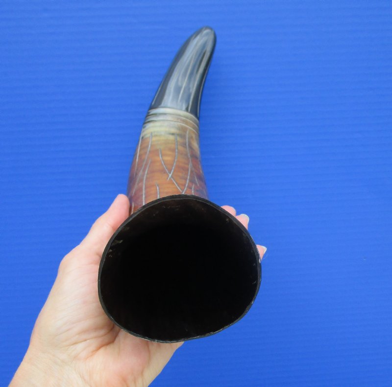 12-7/8 inches Carved Buffalo Horn for Sale, Black and Brown Rustic Look