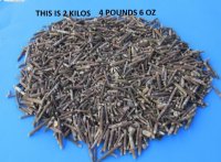 20 kilos Sea Urchin Spines 1/2 to 2-1/2 inches - $3.40 a kilo - 2 or more <font color=red>wholesale</font> cases @ $2.25 a kilo