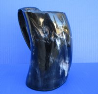 Polished Buffalo Horn 16 ounces Beer Mug 6-1/2 inches tall for $34.99