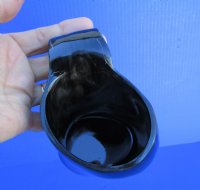 Polished Buffalo Horn 16 ounces Beer Mug 6-1/2 inches tall for $34.99