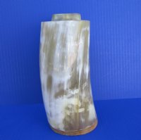 7-1/2 inches tall 20 ounces Buffalo Horn Beer Tankard with blends of tans and whites - Buy this one for $39.99