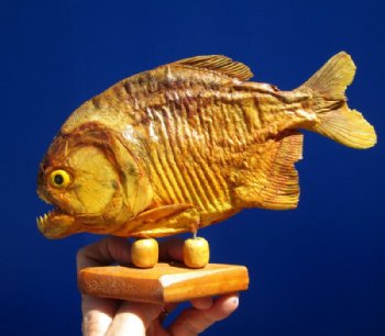 8 inches <font color=red> Discount</font> Sun Dried Piranha Fish on Wood Stand (Has Lots of Small Holes in Skin) - Buy this one for $44.99