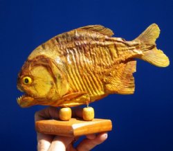 8 inches <font color=red> Discount</font> Sun Dried Piranha Fish on Wood Stand (Has Lots of Small Holes in Skin) - Buy this one for $44.99