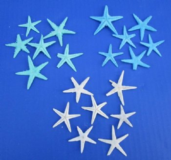 1 to 2 inches Dyed Small Flat Starfish - 300 @ .15 each