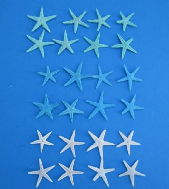 3/4 to 1-1/4 inches Mini, Small Dyed Flat Starfish - Pack of 300 @ .13 each