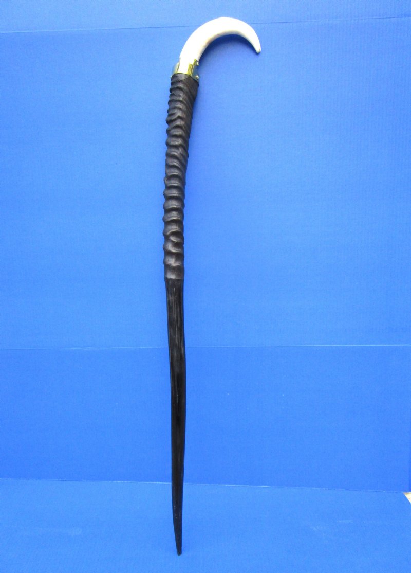 gemsbok horn