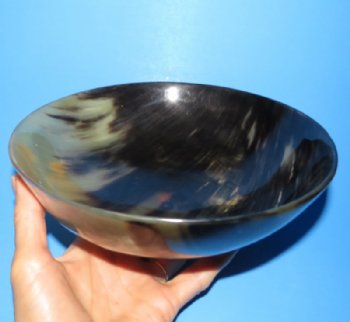 8 inches Genuine Water Buffalo Horn Bowls <font color=red> Wholesale</font>  - 7 @ $13.25 each