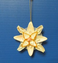 Sea Shell Flower Beach Christmas Ornaments 3-1/2 inches <font color=red> Wholesale</font> - 40 @ $2.45 each