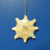 Sea Shell Flower Beach Christmas Ornaments 3-1/2 inches <font color=red> Wholesale</font> - 40 @ $2.45 each