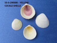 Seashell Santa Wreath Christmas Tree Ornaments <font color=red> Wholesale</font> - Case of 45 @ $2.05 each