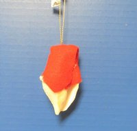 2-1/2 inches Painted Seashell Santa with Red Cap <font color=red> Wholesale</font> - Bag of 50 @ <font color=red>$2.45</font> each