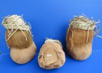 Carved Coconut Monkey Holding Bananas  - Bag of 15 @ $5.25 each; <font color=red> Wholesale</font> 30 @ $3.50 each