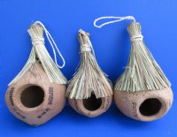 9 to 11 inches tall Hanging Tiki Hut Style Coconut Birdhouse - 2 @ $4.50 each