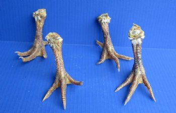 Cured Dried Chicken Feet with Legs - 3 @ $6.40 each; 6 @ $5.63 each