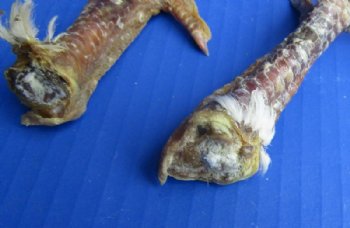 Cured Dried Chicken Feet with Legs - 3 @ $6.40 each; 6 @ $5.63 each