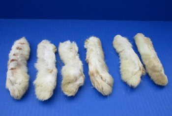 6 inches Preserved Rabbits' Back Feet, Foot - 6 @ $3.20 ;12 @ $3.00 each