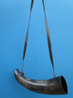 Viking Gun Powder Horn - Handcrafted Genuine Ox Horn with Brass