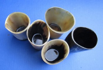 3 inches tall Cattle Horn Cups, Drinking Glasses <font color=red> Wholesale</font>  - 30 @ $3.15 each