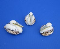 2-3/4 to 3-1/4 inches Painted Tiger Cowrie Pelican Novelty for Sale -  12 @ $3.60 each