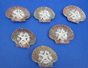 Mexican Flat Shell Magnets <font color=red> Wholesale</font> with Starfish, Tiny White Shells and Glitter - 100 @ .99 each