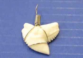 Authentic Tiger Shark Tooth Pendants for Sale, 1 to 1-1/8 inches, wrapped with silver wire - Pack of 5 @ <font color=red>$10.00 each</font> Plus $5.00 1st Class Mail