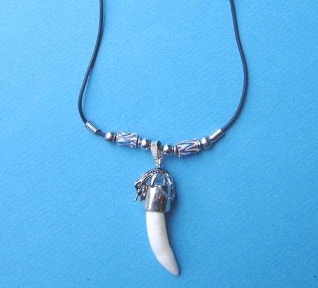 20 inches Authentic Alligator Tooth Necklace with 1-1/4 to 1-1/2 inches ...