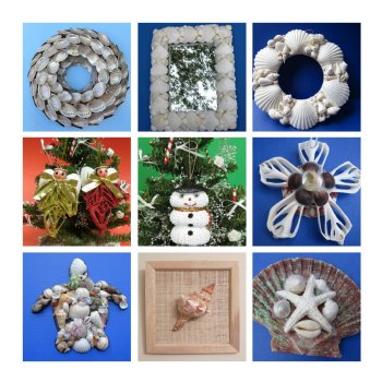 Articles - Seashell Crafts