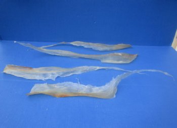 Dried Natural Deer Sinew, Dried Tendons for Taxidermy Crafts, 15 to 24 inches long - 2 @ $11.80 each