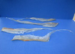 Dried Natural Deer Sinew, Dried Tendons for Taxidermy Crafts, 15 to 24 inches long - 2 @ $11.80 each