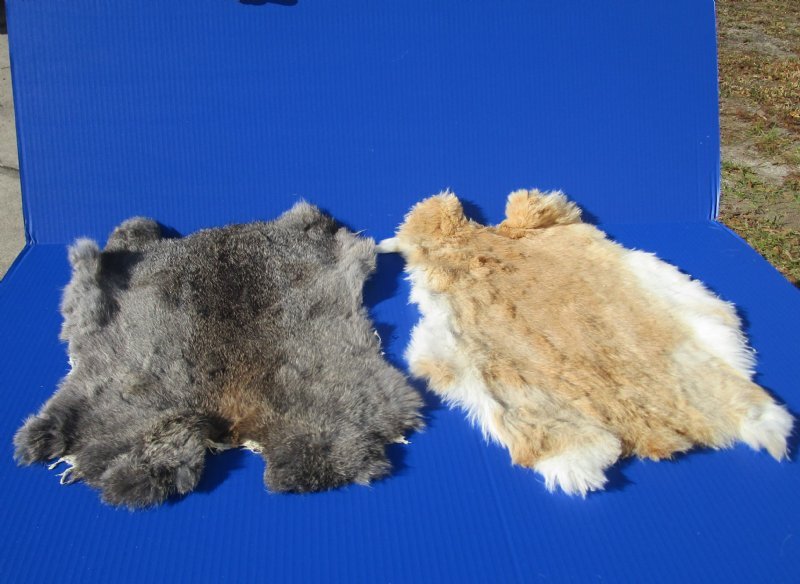 What Can You Use Rabbit Pelts For at Dana Peterson blog