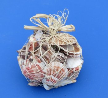 1.10 pounds Assorted Seashells in Open Weave Rope Gift Bag - Bulk Case of 36 @ $2.05 a bag