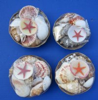 6 inches Round Seashell Basket of Assorted Shells - Case of 36 @ $1.50 each;