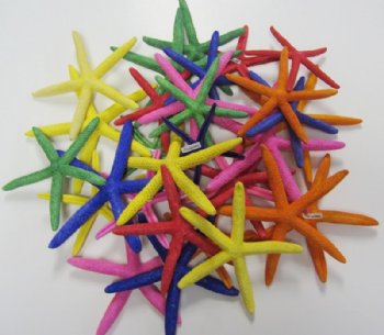 4 to 6 inches Assorted Dyed Finger Starfish  for Sale for Crafts - Bag of 25 @ .85 each