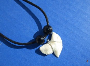 18 inches Tiger Shark Tooth Necklaces <font color=red> Wholesale</font> with 3/4 to 1 inch Teeth - 60 @ $2.05 each