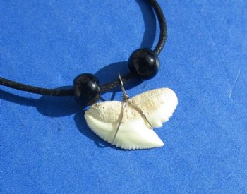 18 inches Tiger Shark Tooth Necklaces  with 5/8 to 7/8 inches Teeth - 10 @ $2.00 each