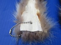 10 to 12 inches Raccoon Tail with Ball Chain Keychains  <font color=red> Wholesale</font>-  20 @ $4.95 each