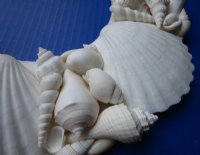 12-1/2 inches Round White Seashell Wreath Hand Crafted, - $16.99 each