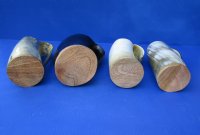 6 inches Polished Horn Beer Mugs with a Wood Base - $32.99 each; 2 @ $30.00 each